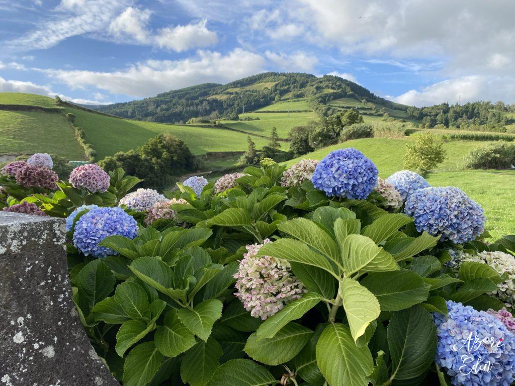 Azori-szigetek - Sete Cidades Fotó: Azori Éden