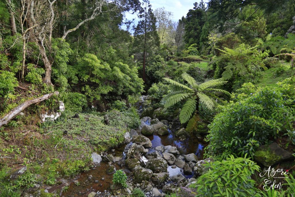 Őszi programajánló az Azori-szigeteken