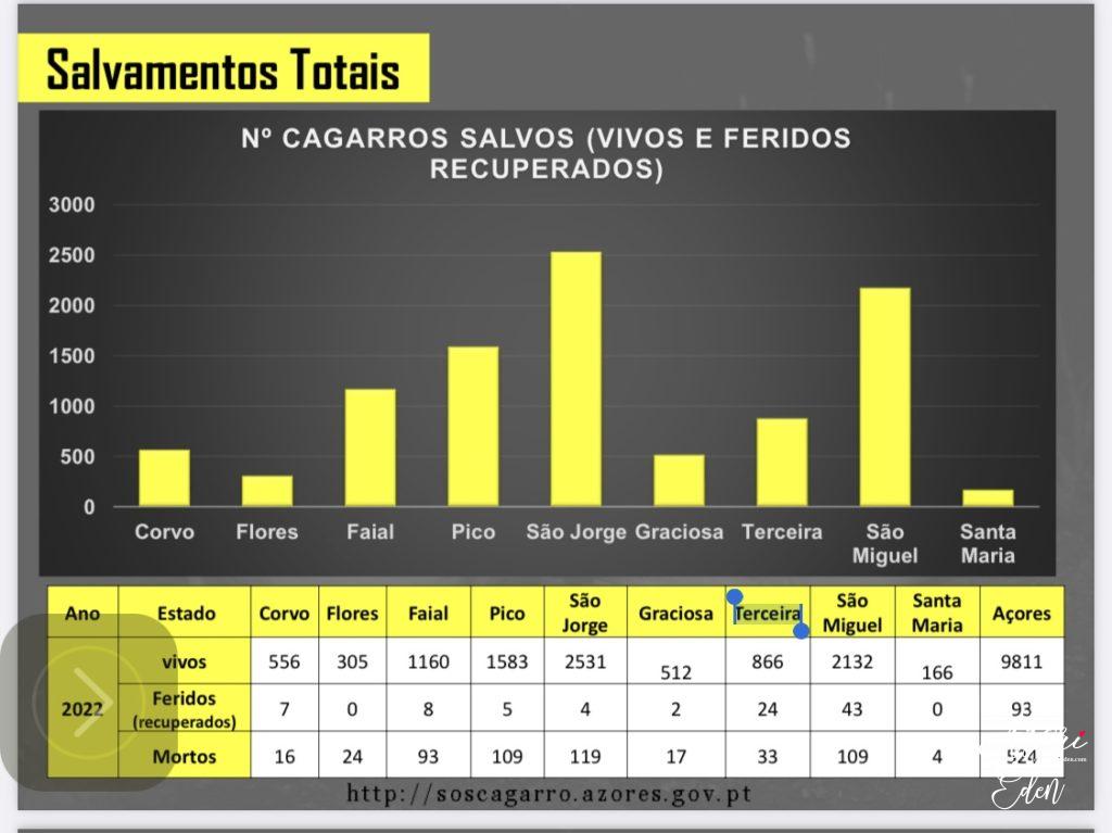 2022-es Cagarro mentési adatok
Photo: www.soscagarro.azores.gov.pt